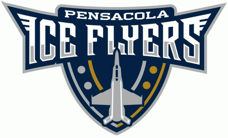 pensacola ice flyers 2012 primary logo iron on heat transfer